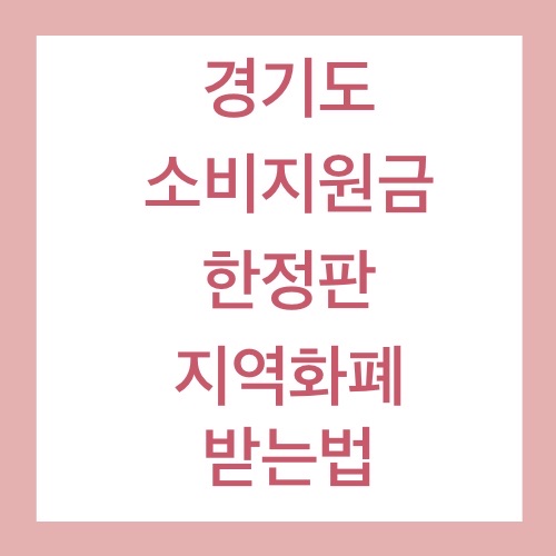 경기도 한정판 지역화폐 소비지원금 2차