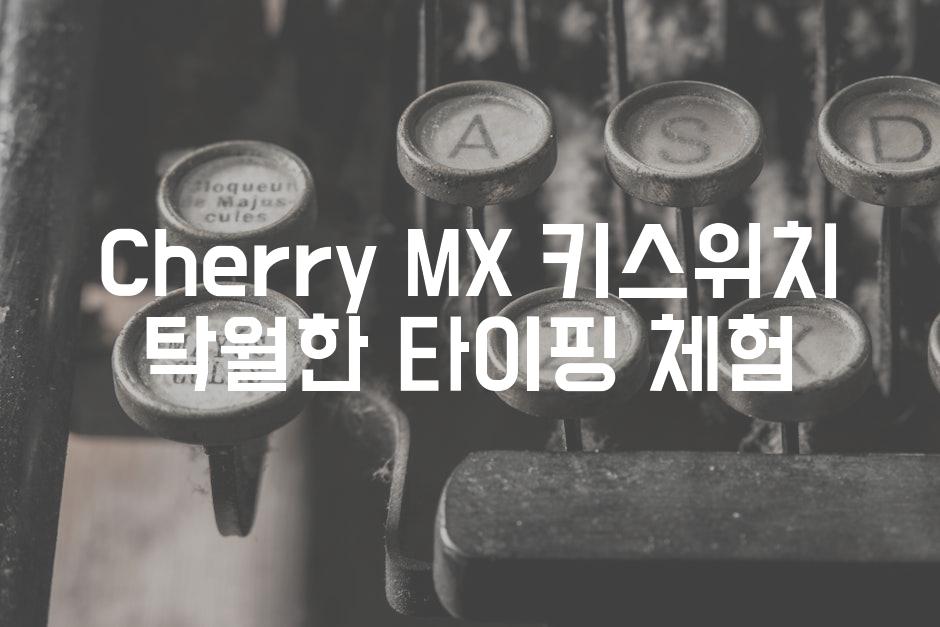 Cherry MX 키스위치 탁월한 타이핑 체험