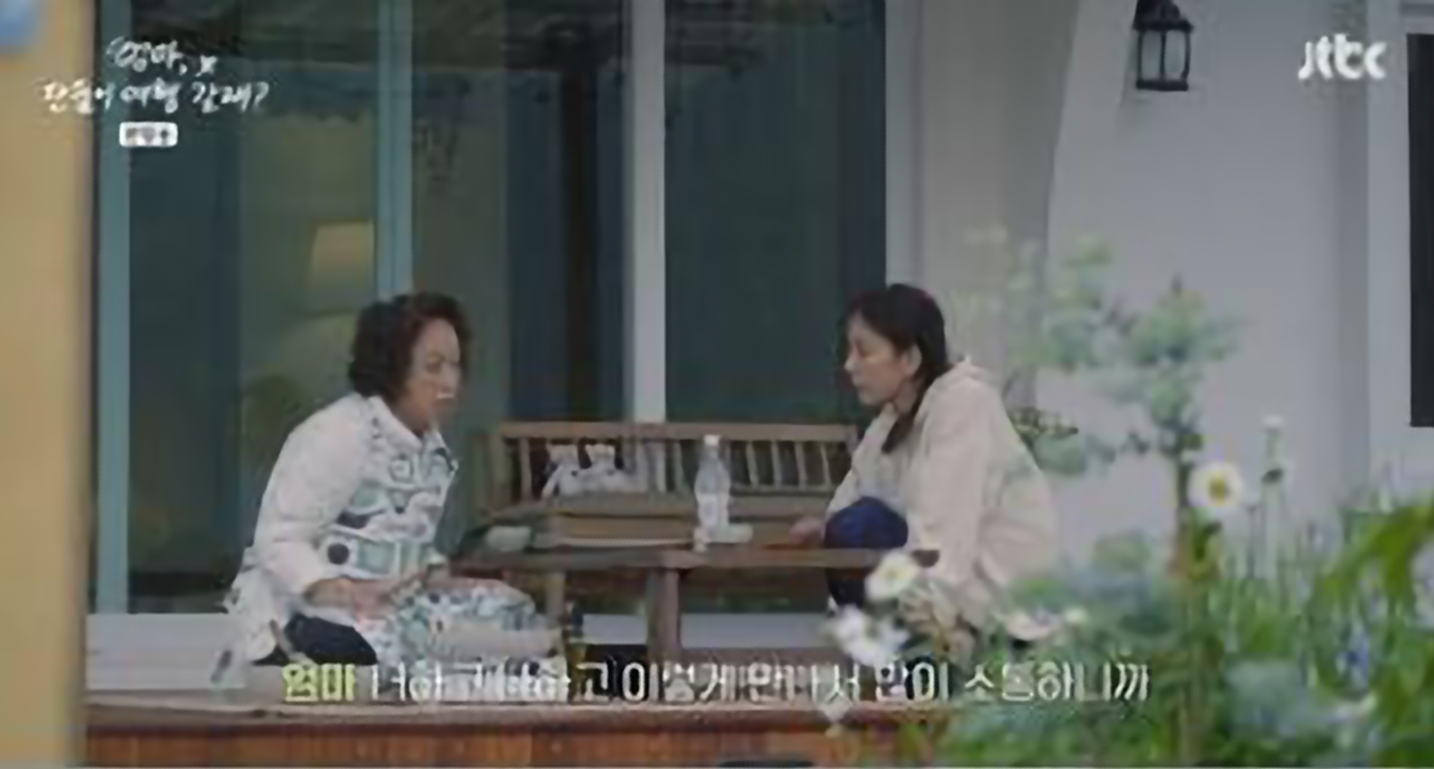 이효리