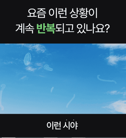 파인애플 효소 브로멜라인이 비문증에 효과적이라고? (효능, 부작용, 후기)