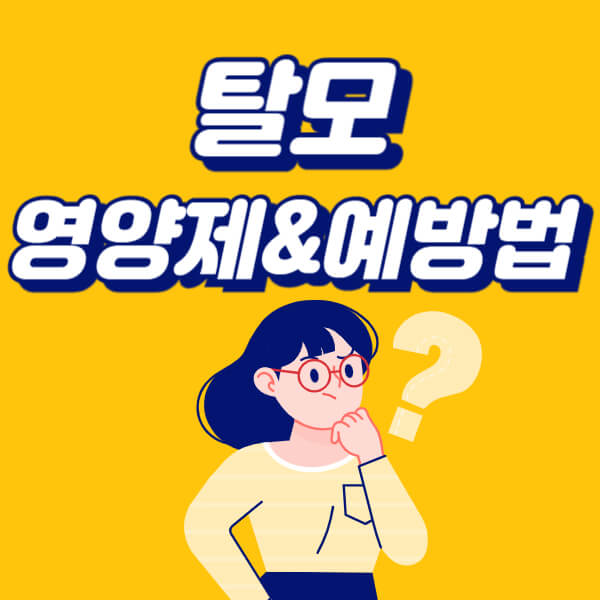 탈모 영양제 와 예방 방법