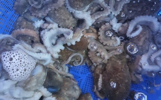 태안 갯바위수산 내부