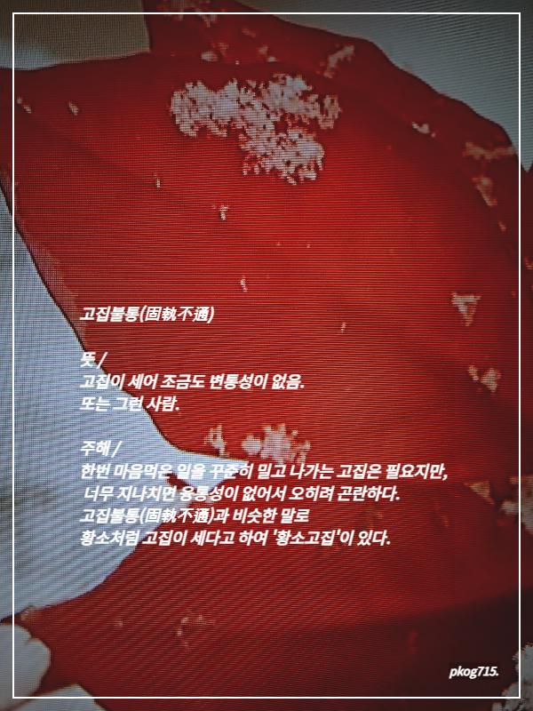 고집불통 이미지