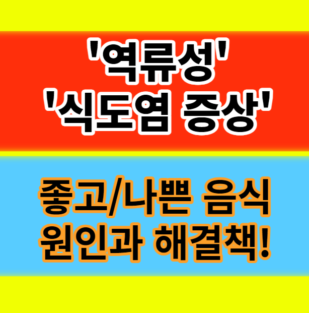  역류성 식도염 원인 전조증상 치료방법 기침 좋은음식 피해야할 음식 속쓰림 정보