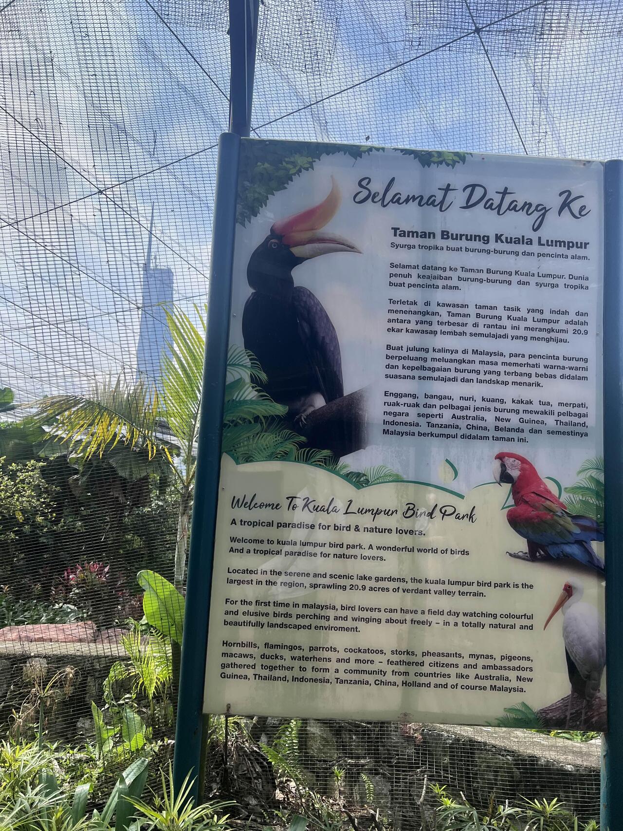  말레이시아 직장인 라이프 - 버드 파크 bird park in KL