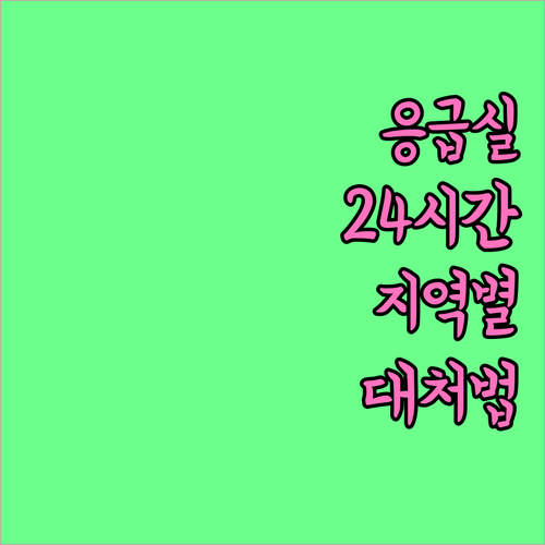 24시간 응급실 정보: 지역별 응급 