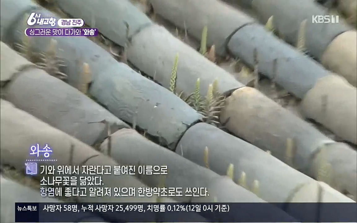 6시 내고향.E7596.220813p.H264-F1RST.mp4_20220814_173419.555.jpg