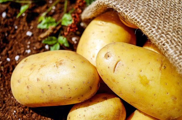 감자의 10가지 효능과 부작용