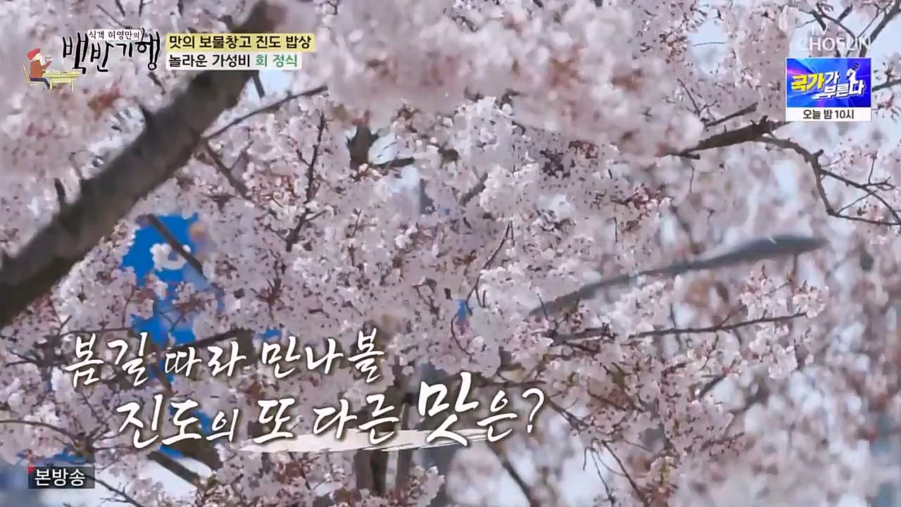 식객 허영만의 백반기행.E194.230332p-NEXT.mp4_20230402_052814.883.jpg