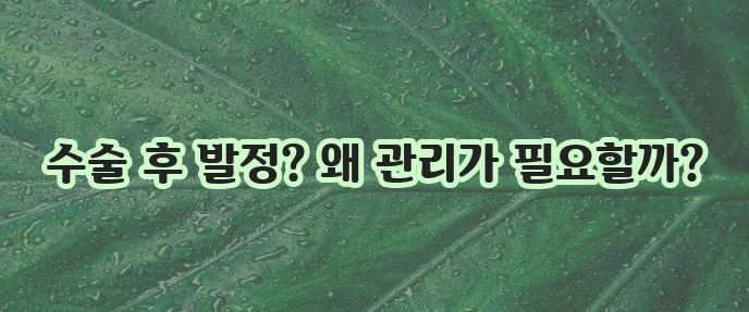 고양이 중성화수술 후 발정 꼼꼼히 이해하고 관리해야 합니다!