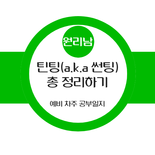  자동차 틴팅(a.k.a 썬팅)에 대해서 알아보자!