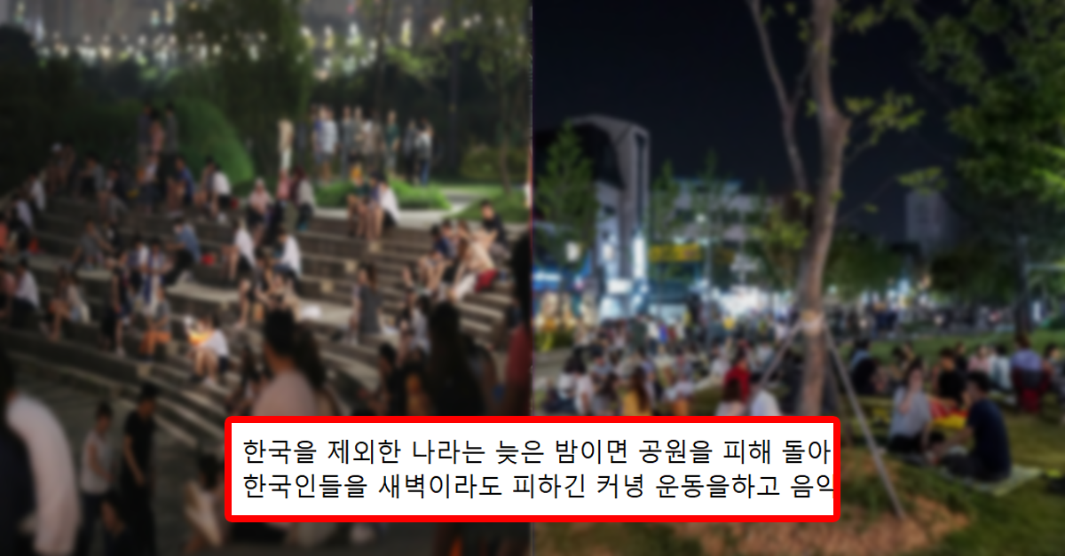 외국인이 말하는 한국의 공원
