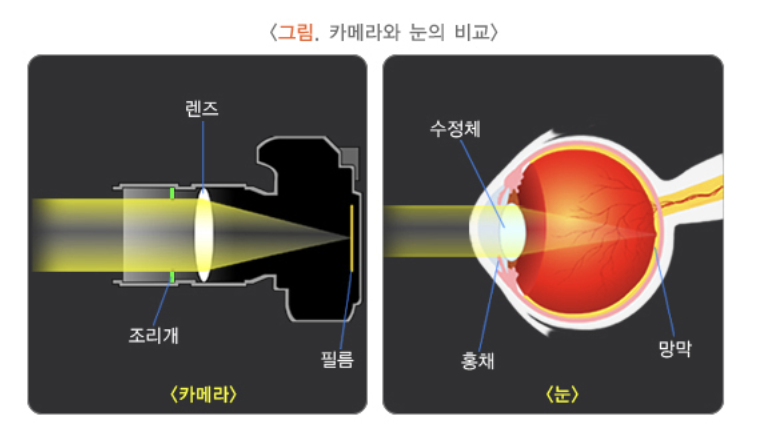 카메라와 사람눈의 비교