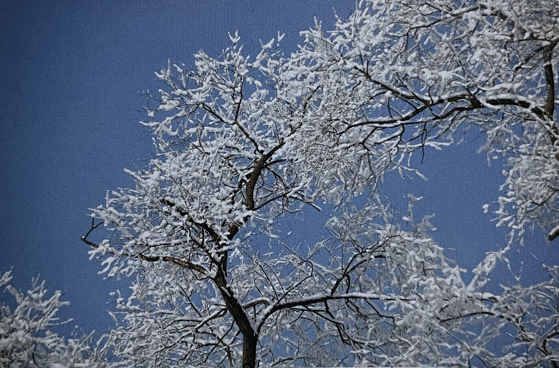 설경사진