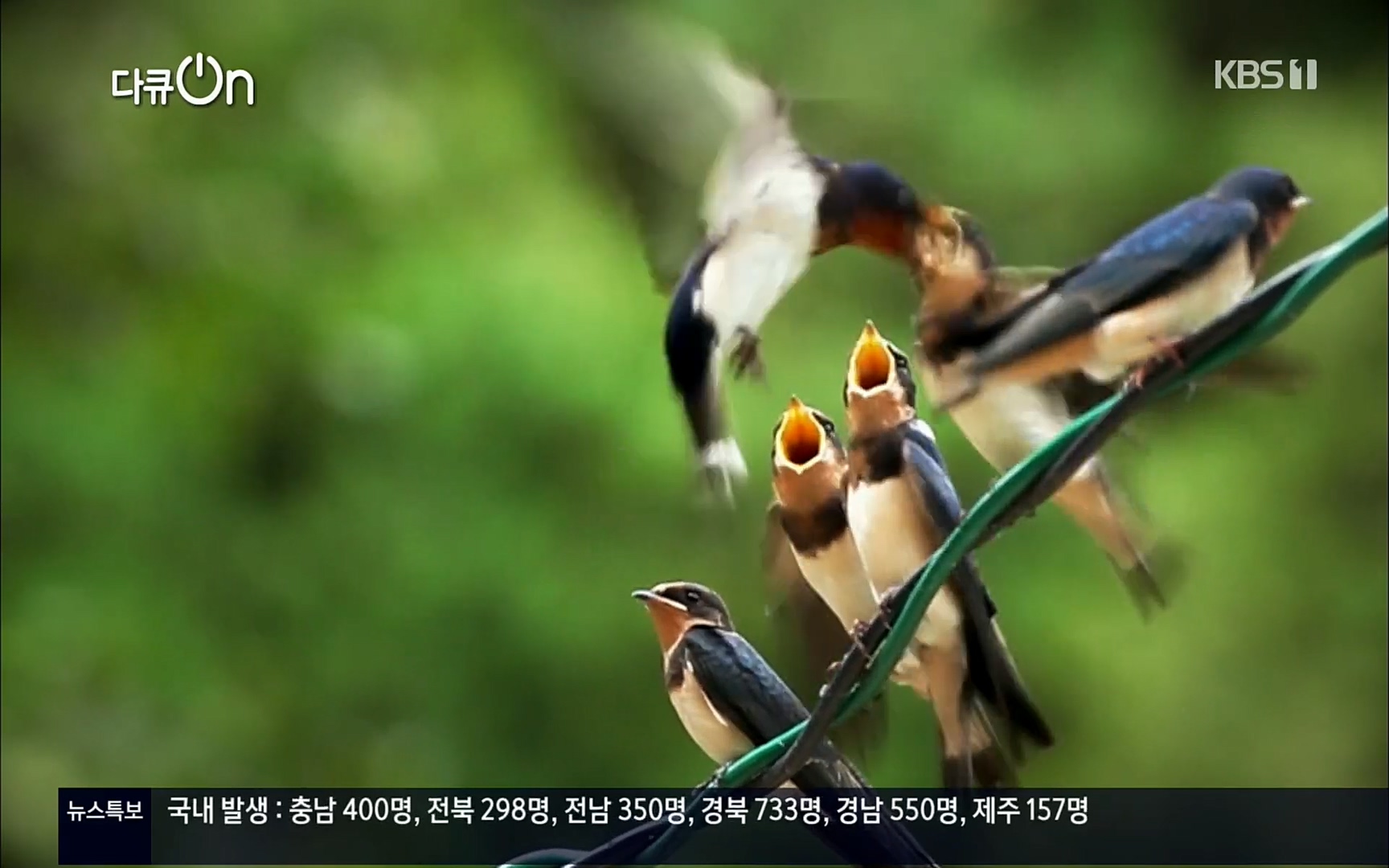 다큐 On.E143.220610p.H264-F1RST.mp4_20220613_200552.622.jpg