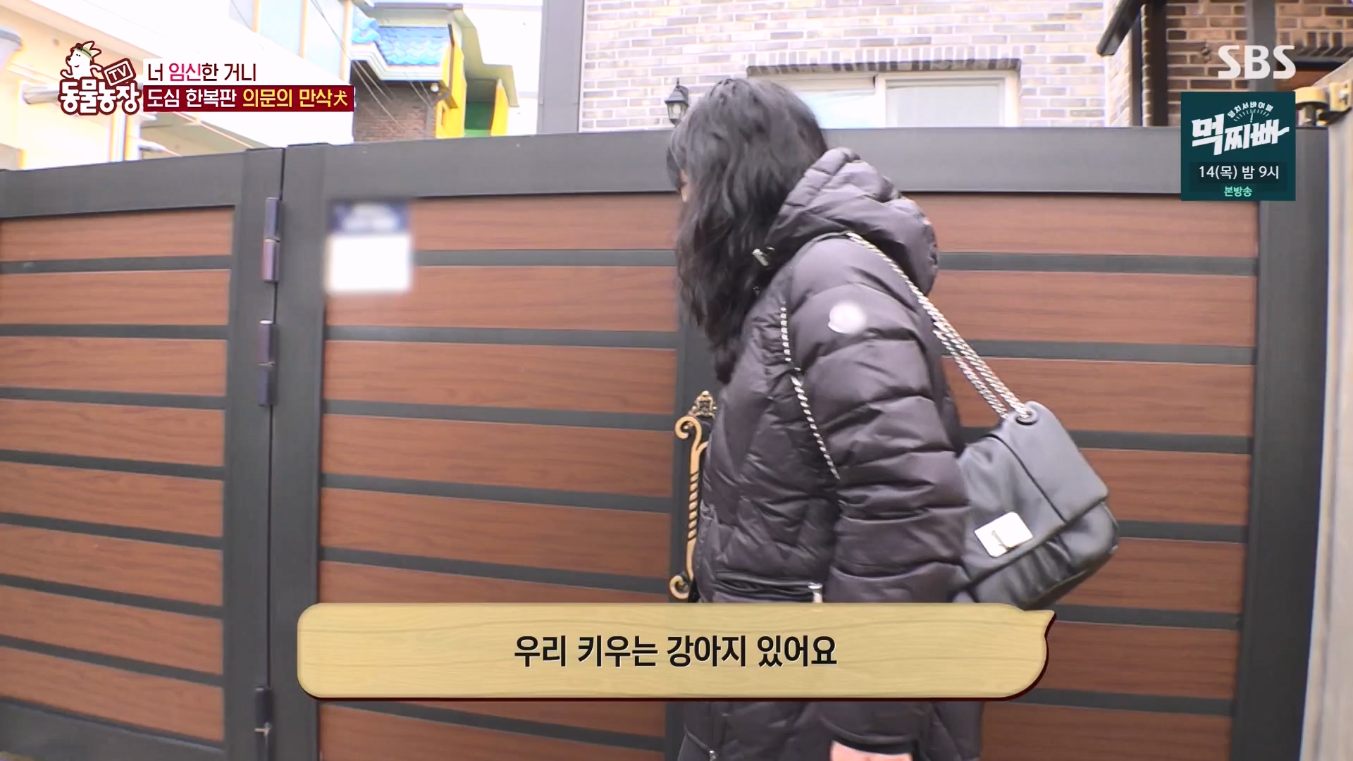 TV 동물농장.E1162.240310p-NEXT.mp4_20240310_162845.207.jpg