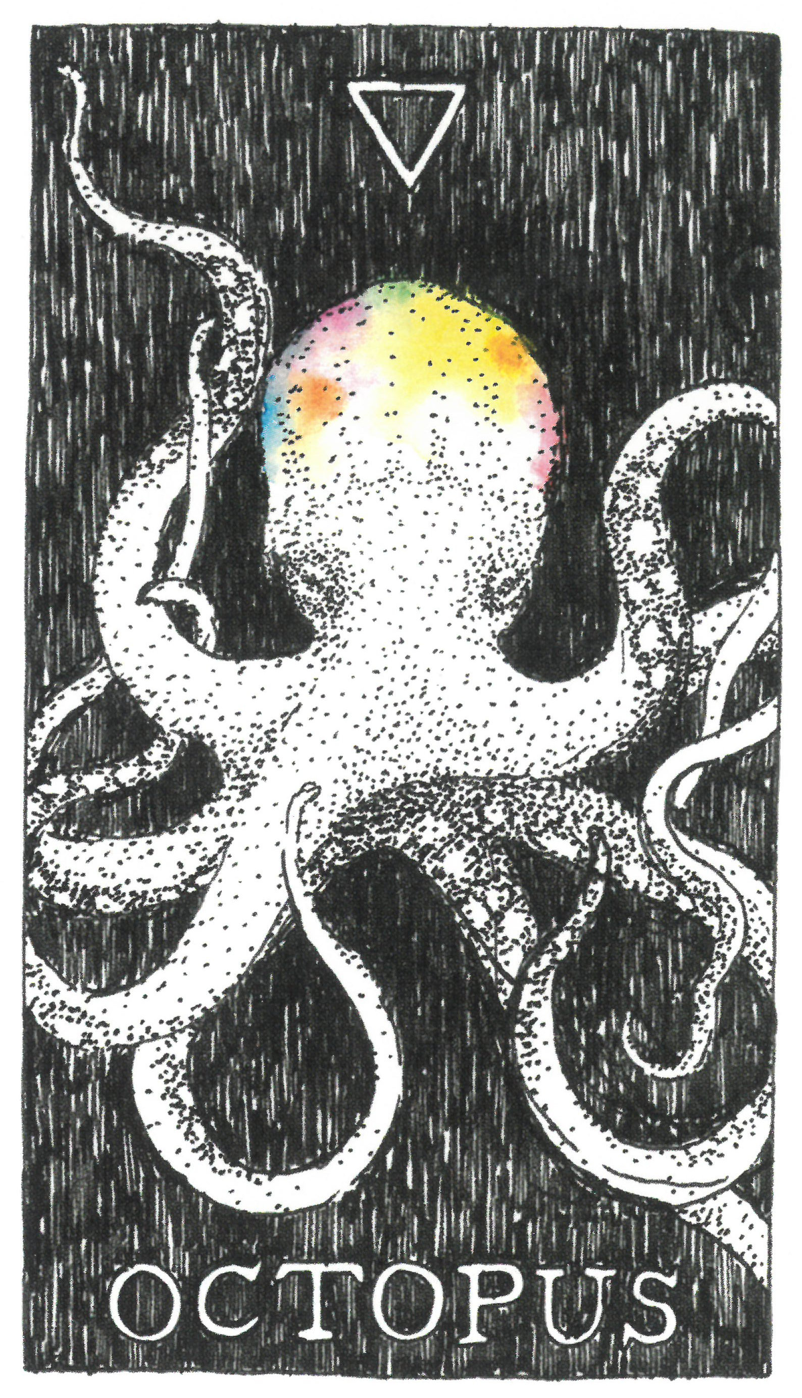 The Wild Unknown Animal Spirit Octopus 문어