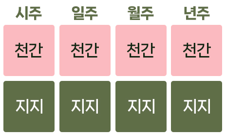 백호살 보는법 1