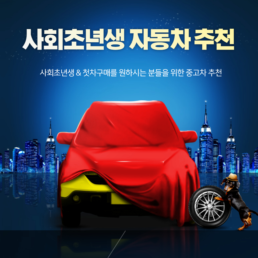  [중고차]사회초년생 첫차 추천! 어떤 차가있는지 알아봐요~!(feat.초보운전)