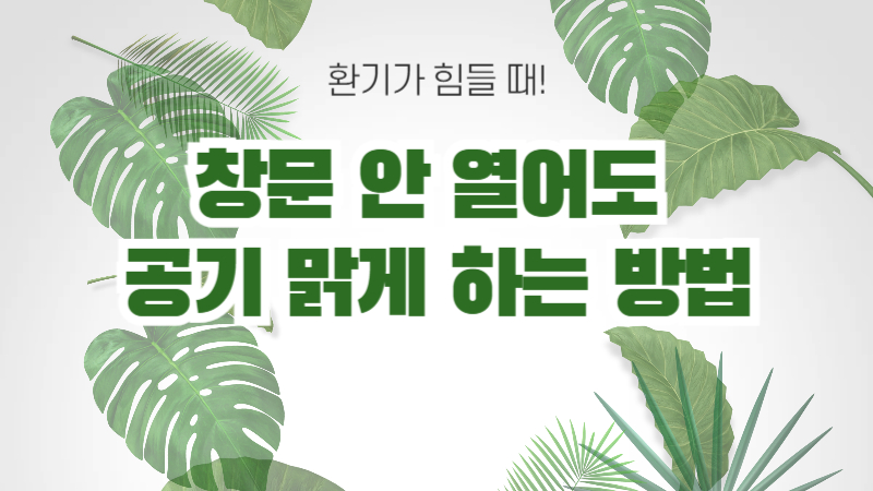 창문 없이 공기 정화하는 방법-환기가 어려운 공간에서도 공기를 맑게 유지하는 생활 꿀팁 썸네일 이미지