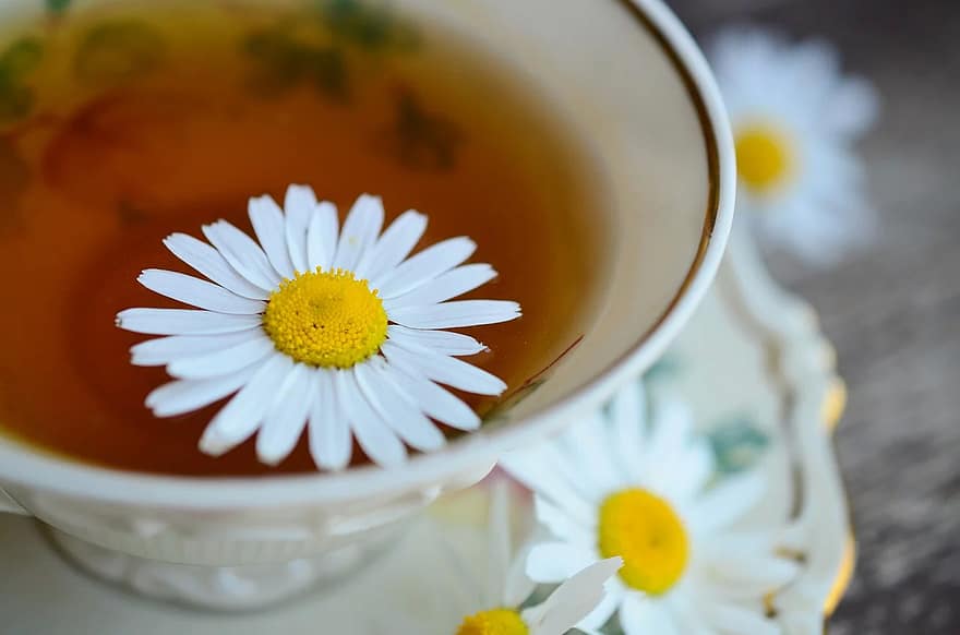  캐모마일 차의 효능, 효과, 기능 및 건강상의 이점과 장점 알아보기