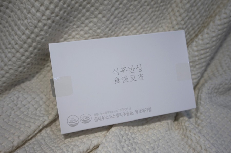1개월 다이어트 식단 후 기 1일 1식 9