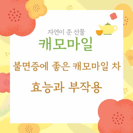 캐모마일 차 효능과 부작용