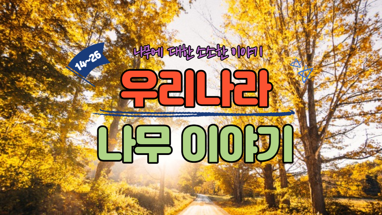  우리나라 나무 이야기 (14~26)