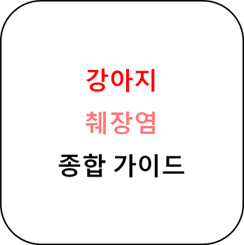  강아지 췌장염 증상부터 원인과 치료 및 예방