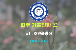  파주 가볼만한 곳 - #1. 조인폴리아(파주 꽃집, 파주 농원)