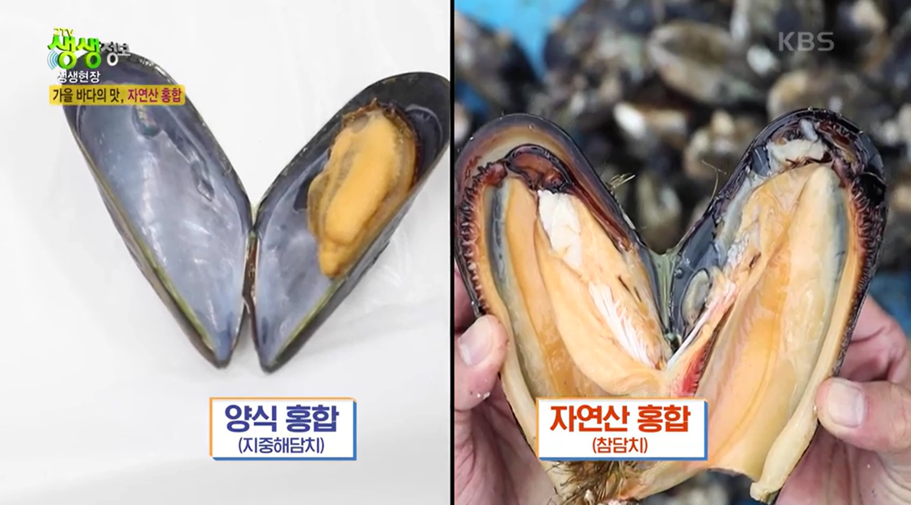 섭 이미지
