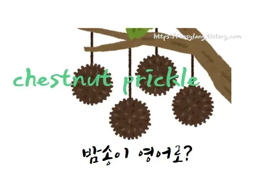 밤송이-영어-로-chestnut-prickle