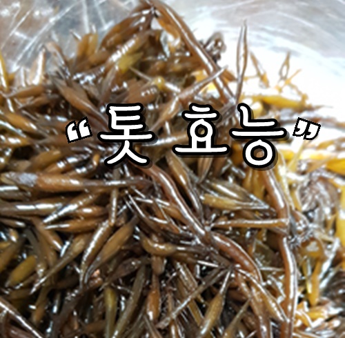  톳 요리법-맛있는 톳밥만드는법 제철음식으로 건강지키자