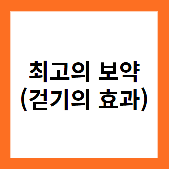 최고의 보약, 걷기의 놀라운 효과와 실천 방법