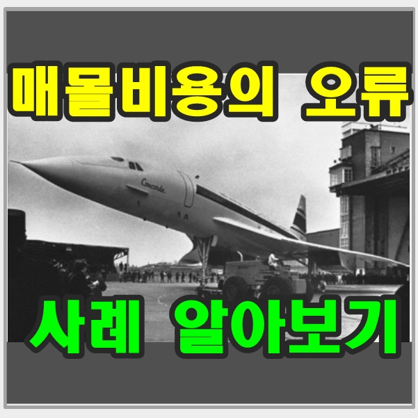 153일째 매몰비용 오류에 대해 9