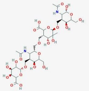 히알루론산 구조식 사진
