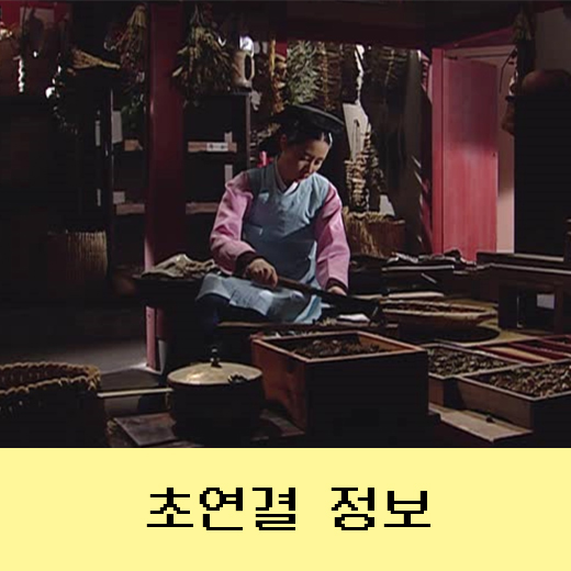  대장금 드라마의 배경이 된 중종시대 feat 이영애