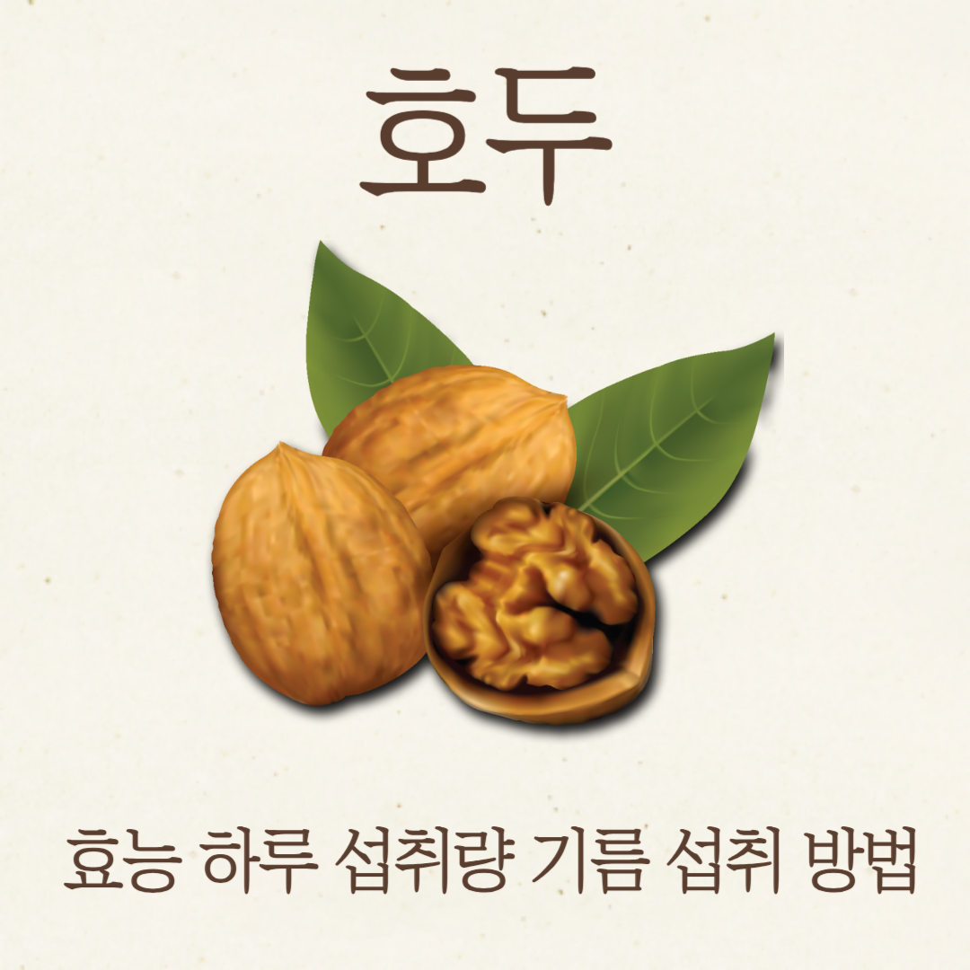호두 효능 하루 섭취량 호두기름 효능 섭취 방법