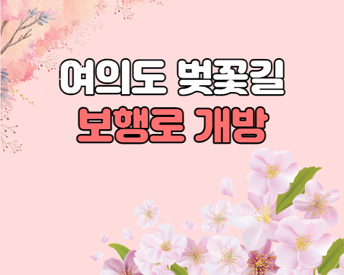  여의도 벚꽃길 보행로 개방