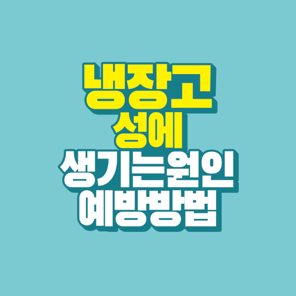 냉장고 성에 생기는 원인과 성에 예방 방법