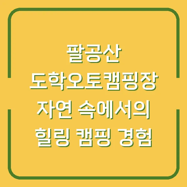 팔공산 도학오토캠핑장 자연 속에서의 힐링 캠핑 경험