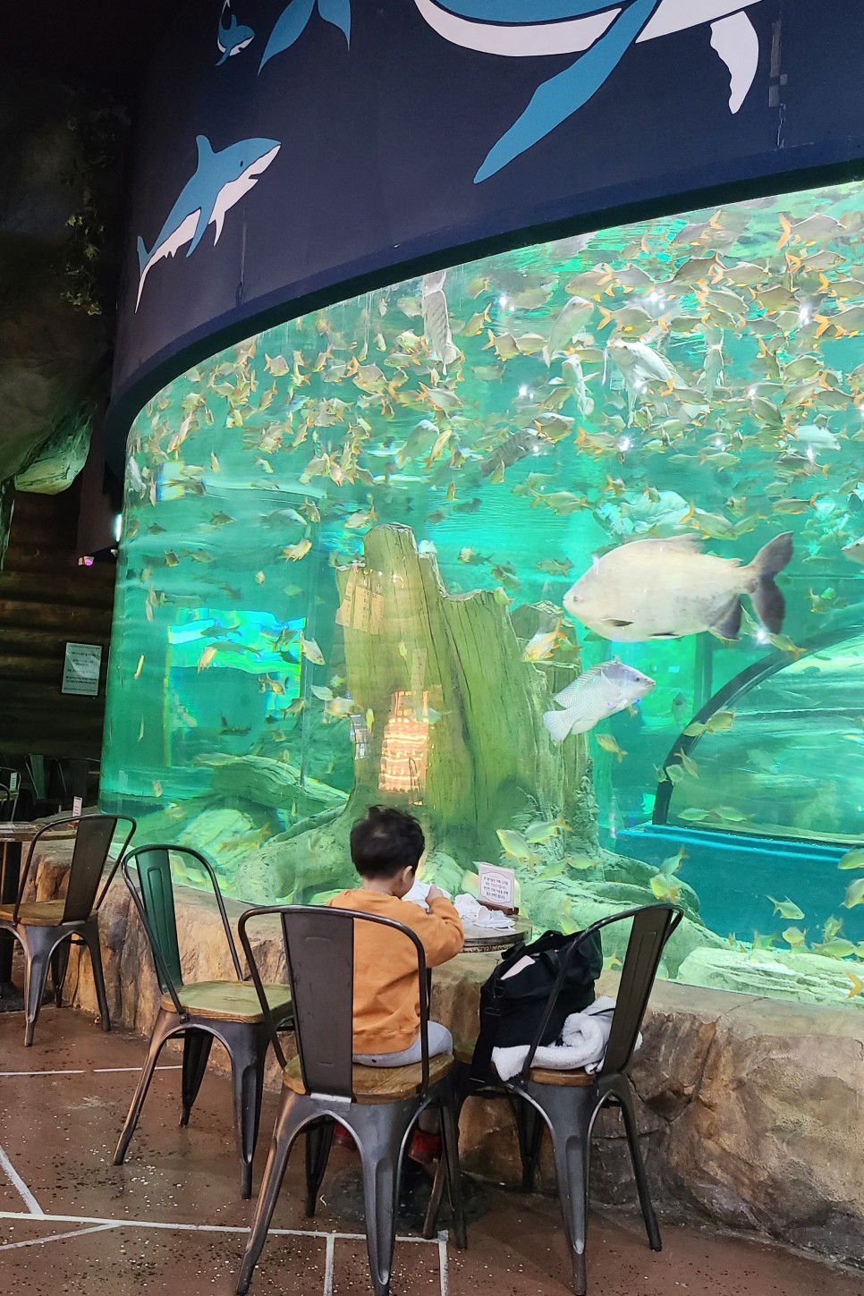부천 아쿠아리움 부천 아쿠아리움먹이주기 체험 17