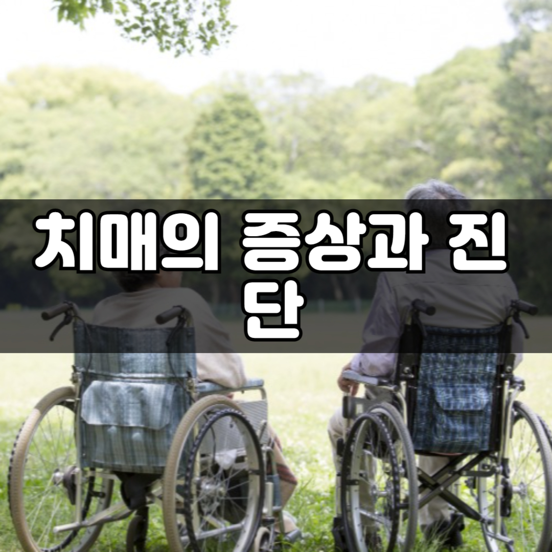 치매와 건망증의 차이, 증상과 진단