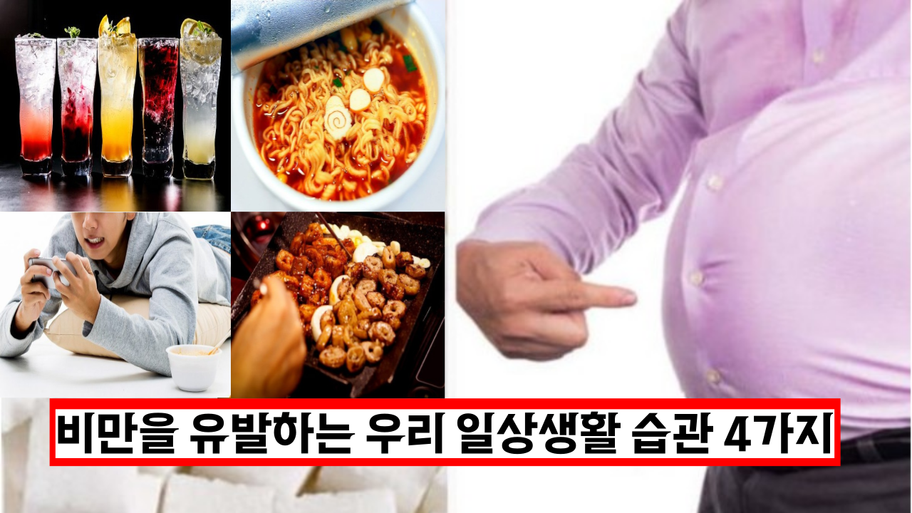  전문가가 말하는 비만을 유발하는 우리 일상생활 습관 4가지
