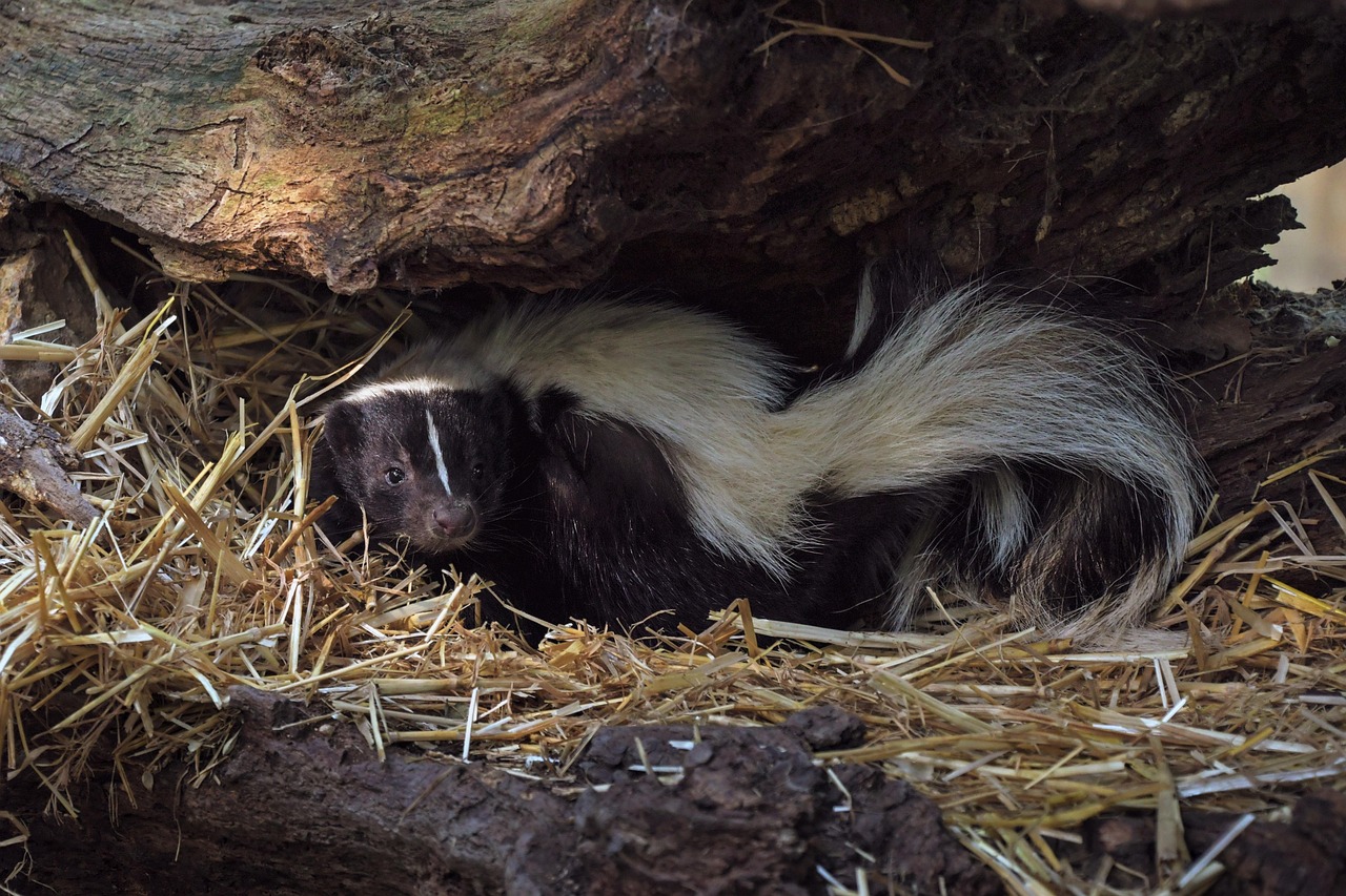 입냄새 주의