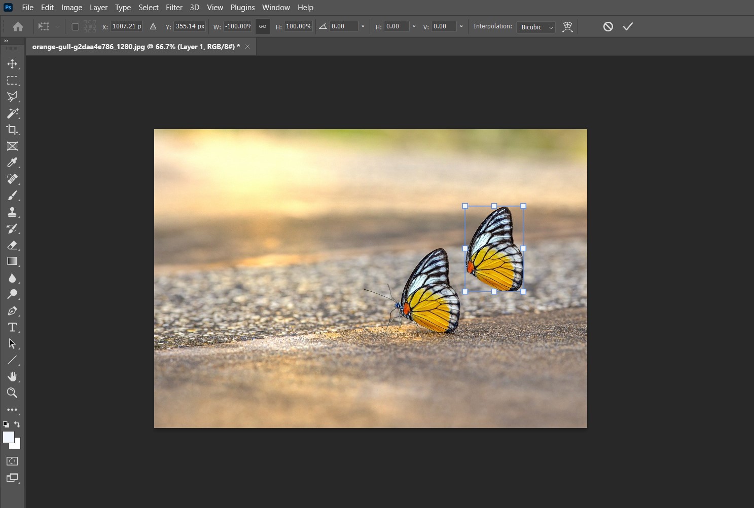 포토샵 선택한 오브젝트 복사하기