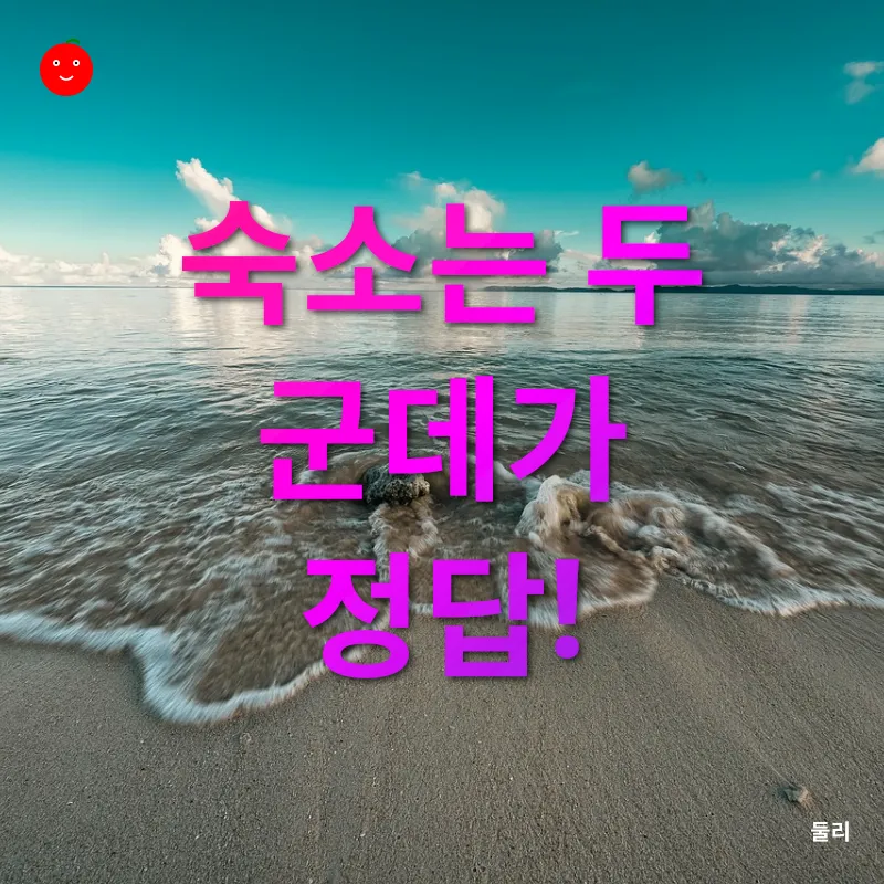 오키나와 여행_1