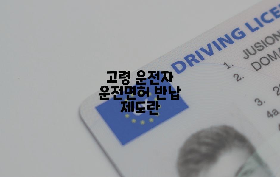 고령 운전자 운전면허 반납 제도란