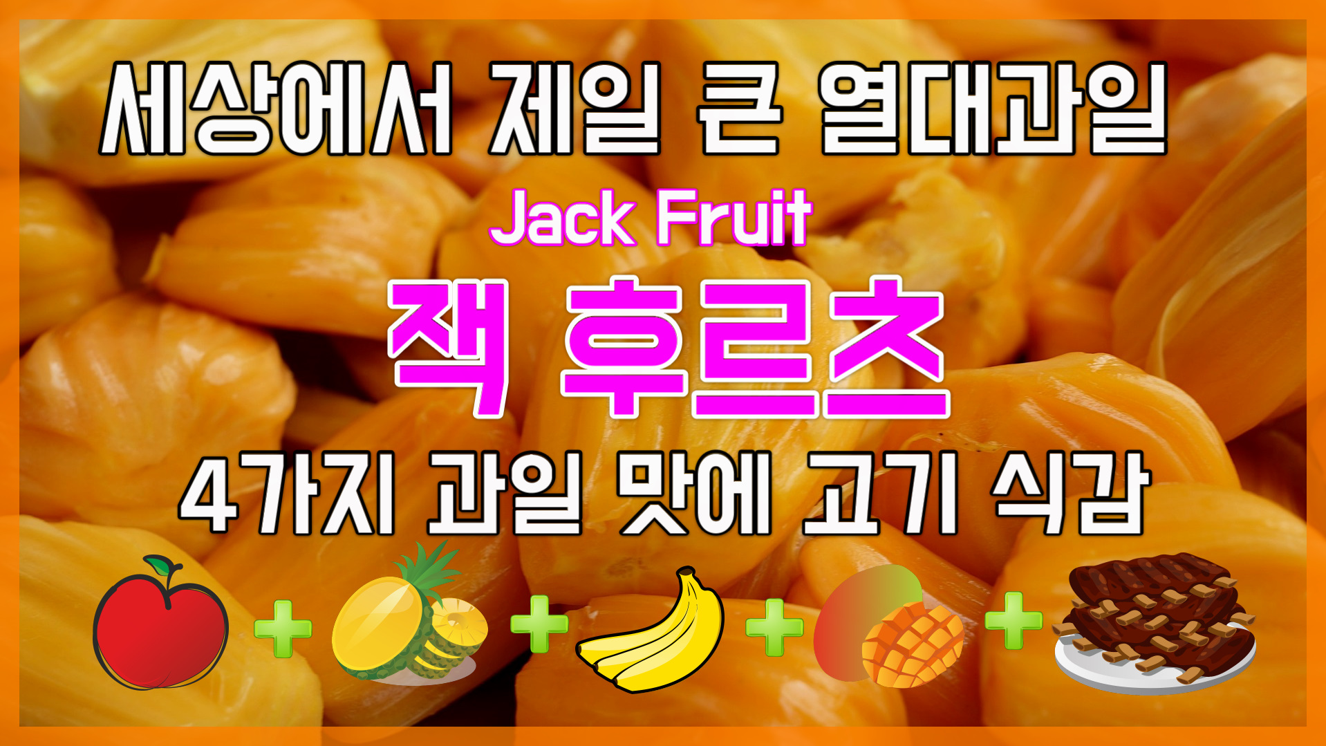  세상에서 제일 큰 열대과일 잭 후르츠 희귀한 해체 모습을 촬영하다. 일명 과일의 제왕. Jack Fruit