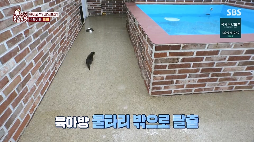 TV 동물농장.E1128.230709p.H264-F1RST.mp4_20230709_183605.422.jpg